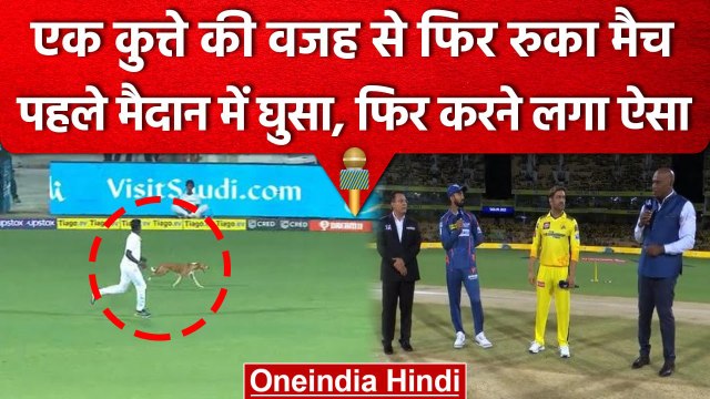 IPL 2023: CSK vs LSG के बीच मैच से पहले मैदान में घुसा कुत्ता, फिर जो हुआ..| वनइंडिया हिंदी