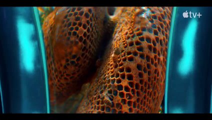 Jane - saison 1 Bande-annonce VO