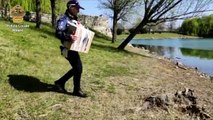 Milano, la famigliola di anatroccoli liberata nel laghetto del parco Forlanini