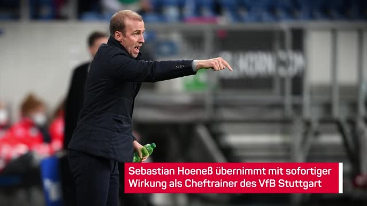 Hoeneß ersetzt Labbadia beim VfB Stuttgart