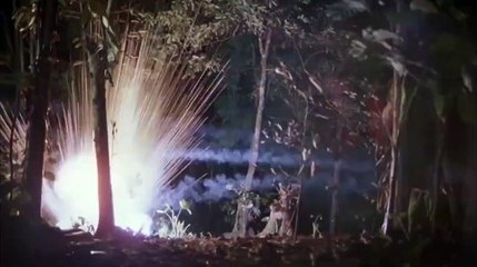 Platoon Bande-annonce (DE)