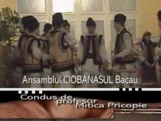 Dansuri populare 2
