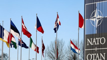 Finlandia se convertirá en el miembro 31º  de la OTAN