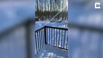 Ce papa a créé une piste de bobsleigh dans son jardin pour ses enfants