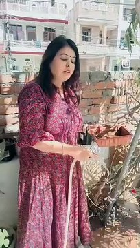 Jaipur : शहरवासी अपने गार्डन में भी लगा रहे डिजाइनदार परिण्डे, स्लोगन के जरिए दे रहे संदेश