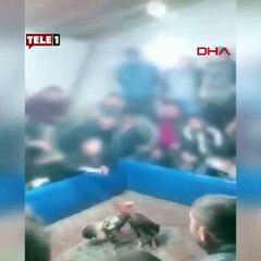 Hayvanları koruma derneğine horoz dövüşü baskını