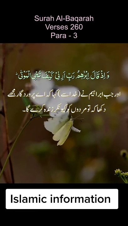 islamic information for everyone