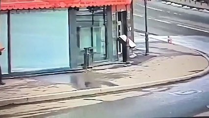 Mujer arrestada por el atentado contra el bloguero