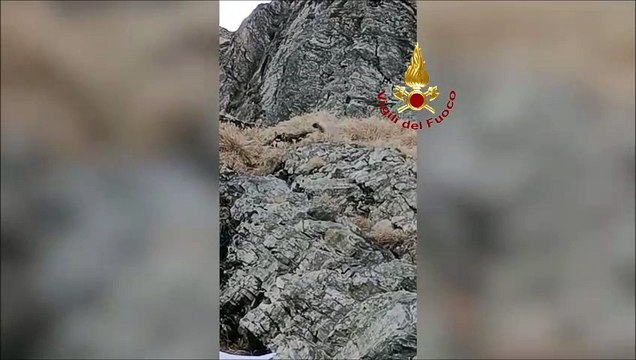 Tragedia sulle Apuane, donna cade e muore. Recuperato uno dei cani