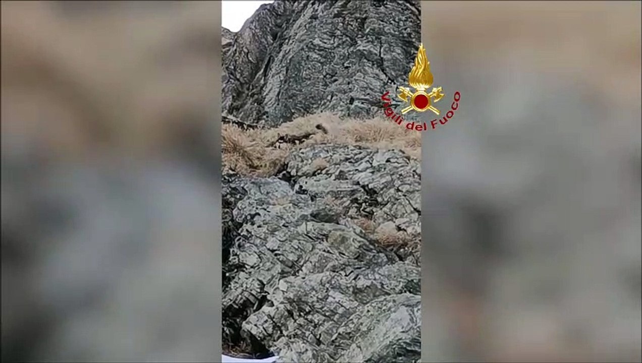 Tragedia sulle Apuane, donna cade e muore. Recuperato uno dei cani