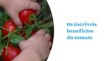 Tomate é melhor do que você imagina: veja os benefícios