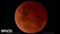 Amazing Images Captured Of Blood Moon Lunar Eclipse