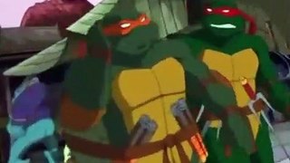Teenage Mutant Ninja Turtles (2003) S02 E025 The Big Brawl(Part 3)