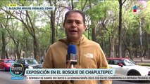¿Qué hacer en Semana Santa en la CDMX?