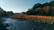 1-Hour Calming River Sounds for Relaxation, Sleep, and Meditation