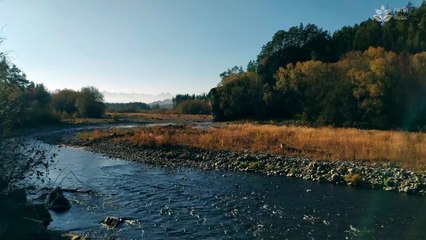 1-Hour Calming River Sounds for Relaxation, Sleep, and Meditation
