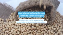 Proteína de Soja tem ou não tem benefícios? Saiba mais