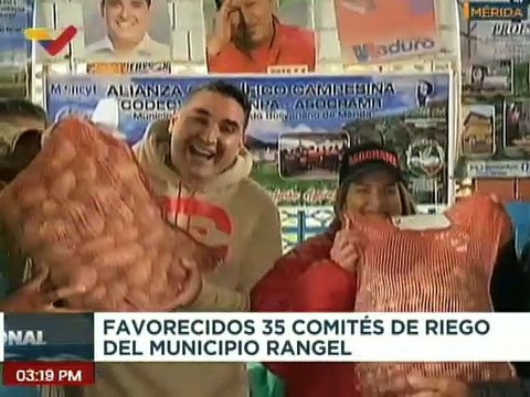 Mérida | Entregan semillas de papas de alta calidad genética a 3 mil productores agrícolas