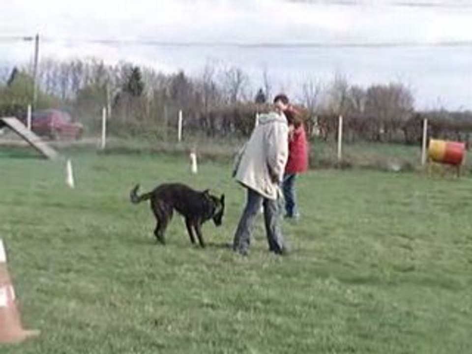 MOV06851