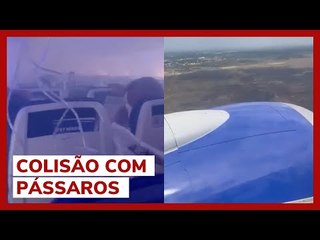 Fumaça em cabine de avião dos EUA obriga pilotos a fazerem pouso de emergência