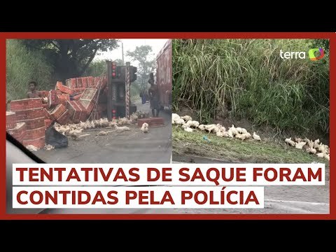 Caminhão com galinhas vivas tomba, e aves se espalham por rodovia na zona oeste do RJ