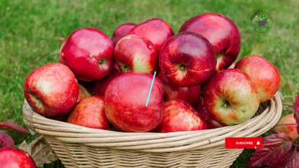 Benefits of Apple || Saib khane ke fayde || Top apple benefits || "Apple"