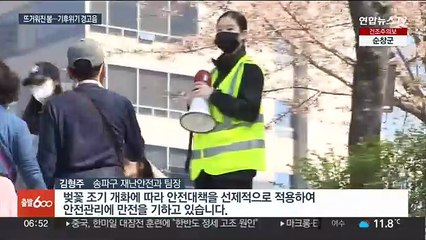 반소매 벚꽃·더운 식목일…우리가 알던 봄이 사라진다