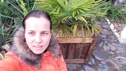 Comment faire un grand bac à plantes