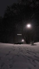 Gym Motivation - Don't waste anymore time