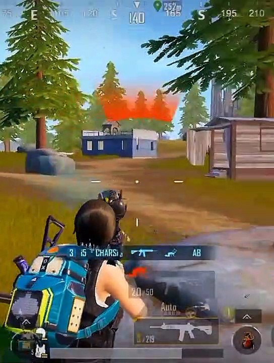 CHICKEN DINNER HIGHLIGHTS