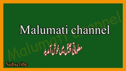 Islamic common sense paheliyan in Urdu || Islami info with answer || Urdu maloomat || Islami maloomati sawal jawab