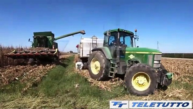 Video News - SICCITA', QUALI LE MISURE