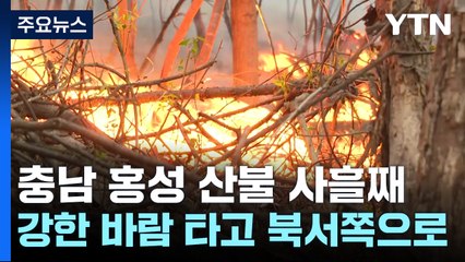 충남 홍성 산불 사흘째...강한 바람 타고 북서쪽으로 번져 / YTN