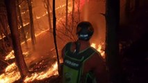 [뉴스라이더] 계속되는 전국 산불...확산 우려가 큰 곳은 어디? / YTN