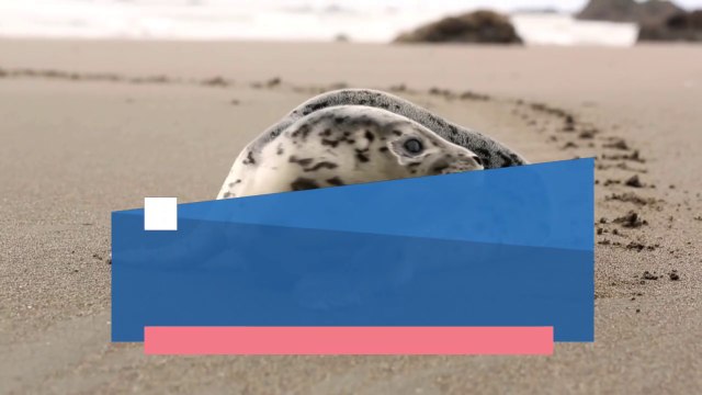 Cryptocurrency 101: Exploring the World of Digital Currencies