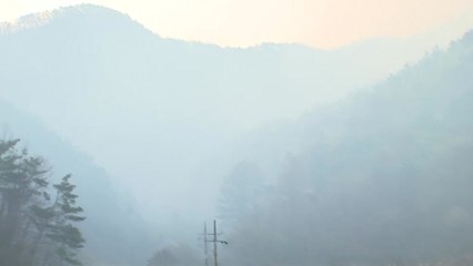 경북 영주 산불 19시간 만에 큰 불길 잡혀...210ha 영향권 / YTN