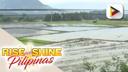 NIA, naghahandang bawasan ang service areas ngayong El Niño