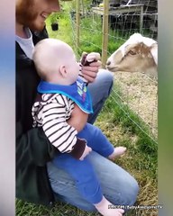 Funny Baby and Goat - Cute Baby and Animals Videos