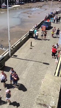 Gulls steal food from tourists Des goélands volent de la nourriture à des touristes