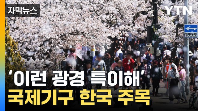 [자막뉴스] 수십 년 살며 이런 일 처음 ...'이상 신호' 나타난 한국 / YTN