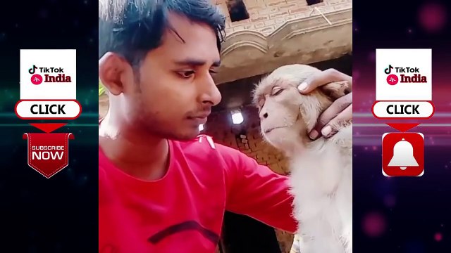 funny animals - homeless animals - cats video - cute cats video - baby cats video - dogs video - cute dogs - baby dogs -f~ (2)