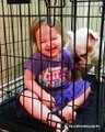 Funniest Baby and Animals Fails (3)