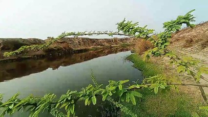 My First Vlog -My first vlog on Dailymotion - My First Vlog in 2023