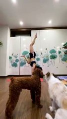 YOGA HANDSTANDING - LidiYoga