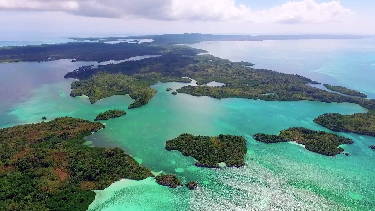 Komodo Dragon in Labuan Bajo Indonesia