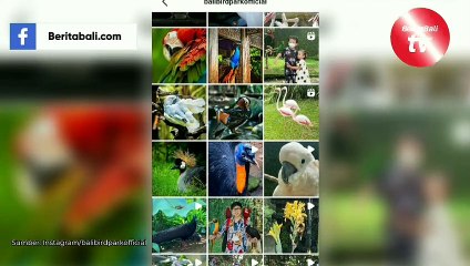 5 Wisata Anak dan Keluarga di Bali