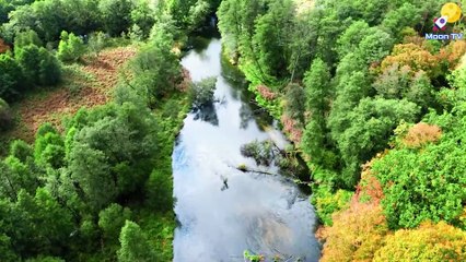 Relaxation Music for Sleep and Deep Relaxation