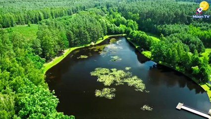 Stress Relief Music for Anxiety and Depression