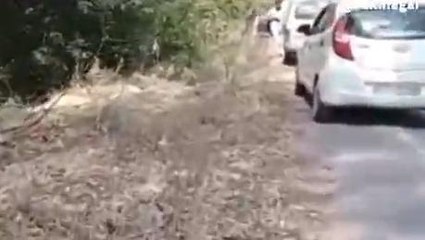 बाराबंकी में तेज रफ्तार का कहर, आपस में भिड़ी गाड़ियां; एक की मौत