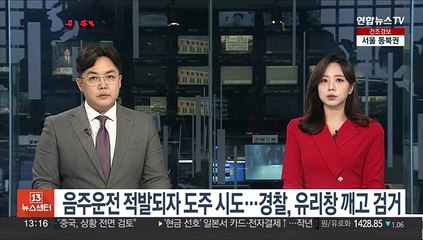 음주운전 적발되자 도주 시도…경찰, 유리창 깨고 검거
